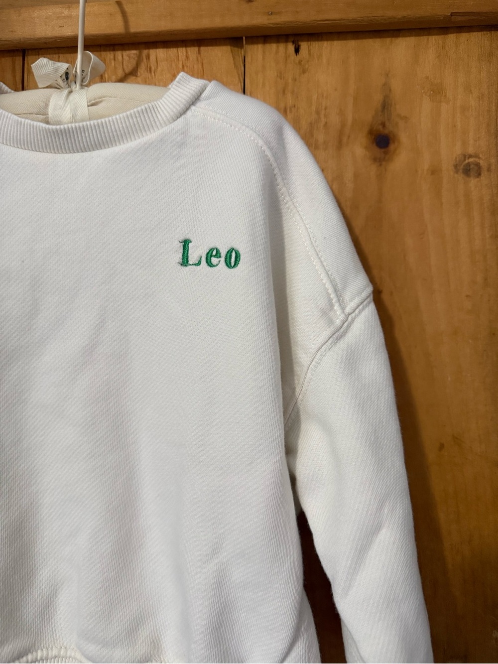 ZARA | Leo crewneck sweatshirt